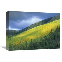 Global Gallery Aspen Forest, Maroon Bells, Snowmass Wilderness, Colorado-Canvas Art-16"x12"
