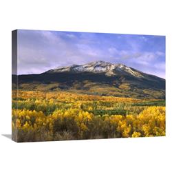 Global Gallery East Beckwith Mountain and Trees in Fall Color, Gunnison National Forest, Colorado-Canvas Art-24"x18"