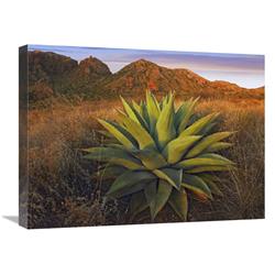 Global Gallery Agave Plants and Chisos Mountains seen from Chisos Basin, Big Bend National Park, Chihuahuan Desert, Texas-Canvas Art-24"x18"