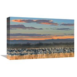 Global Gallery Snow Geese and Sandhill Cranes, Bosque del Apache National Wildlife Refuge, New Mexico-Canvas Art-18"x12"