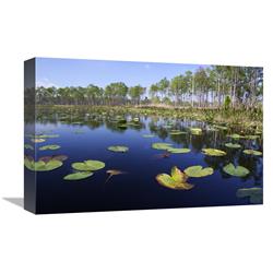 Global Gallery Lake with Lily Pads, Southern Florida-Canvas Art-18"x12"