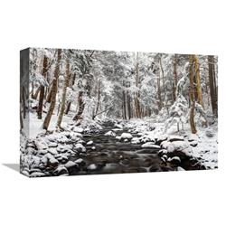 Global Gallery Stream in Winter, Nova Scotia, Canada-Canvas Art-18"x12"