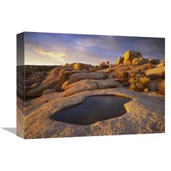Global Gallery Water That has Collected in Boulder, Joshua Tree National Park, California-Canvas Art-16"x12"