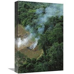 Picture of   12 x 18 in. A Farmer Burns His Agricultural Field After Harvesting the Crop in A Clearcut Area in the Forest&#44; Usina Serra Grande&#44; Atlantic Forest&#44; Brazil Art Print - Mark Moffett