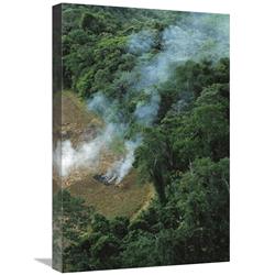 Picture of   16 x 24 in. A Farmer Burns His Agricultural Field After Harvesting the Crop in A Clearcut Area in the Forest&#44; Usina Serra Grande&#44; Atlantic Forest&#44; Brazil Art Print - Mark Moffett