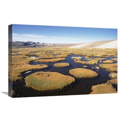 Global Gallery Andean bofedal Near Source of Amazon River, Mismi Mountain, Peru-Canvas Art-24"x16"