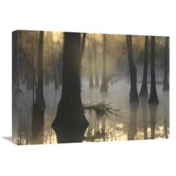 18 x 24 in. Bald Cypress Grove in Freshwater Swamp At Dawn, Lake Fausse Pointe, Louisiana Art Print - Tim Fitzharris -  JensenDistributionServices, MI1308066