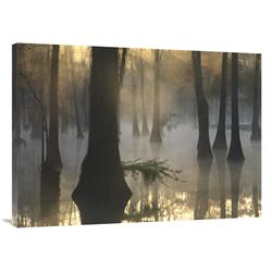 30 x 40 in. Bald Cypress Grove in Freshwater Swamp At Dawn, Lake Fausse Pointe, Louisiana Art Print - Tim Fitzharris -  JensenDistributionServices, MI1308068