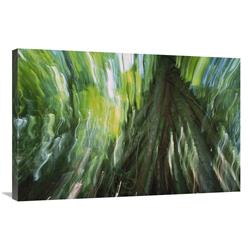 Global Gallery Walking Palm Showing Stilt Roots, with Abstract Rainforest Patterns, Barro Colorado Island, Panama-Canvas Art-36"x24"