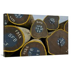 Global Gallery Legal Lumber from Congo Forests-Canvas Art-36"x24"
