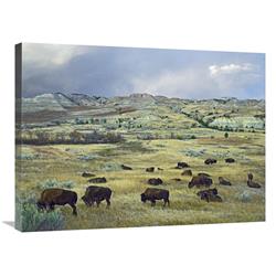 Global Gallery American Bison Herd grazing on praire, Theodore Roosevelt NP, North Dakota-Canvas Art-32"x24"