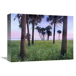 Global Gallery Cabbage Palm Meadow, Myakka River State Park, Florida-Canvas Art-16"x12"