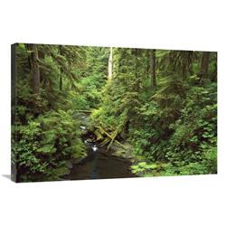 Global Gallery Wilaby Creek, Olympic National Forest, Washington-Canvas Art-36"x24"