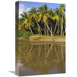 GCS-452855-1218-142 12 x 18 in. Coconut Palm Trees Line Black Sand Beach, La Sagesse Bay, Grenada, Caribbean Art Print - Gerry Ellis -  Global Gallery