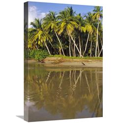 GCS-452855-1624-142 16 x 24 in. Coconut Palm Trees Line Black Sand Beach, La Sagesse Bay, Grenada, Caribbean Art Print - Gerry Ellis -  Global Gallery