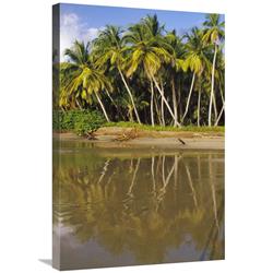 GCS-452855-2030-142 20 x 30 in. Coconut Palm Trees Line Black Sand Beach, La Sagesse Bay, Grenada, Caribbean Art Print - Gerry Ellis -  Global Gallery