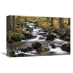 Global Gallery Creek Cascading Through Autumn Forest, Bayerischer Wald NP, Germany-Canvas Art-18"x12"