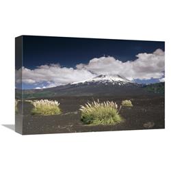 GCS-452899-1218-142 12 x 18 in. Pampas Grass Islands in Old Lava Flow, Llaima Volcano, Conguillio NP, Chile Art Print - Gerry Ellis -  Global Gallery