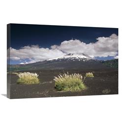 20 x 30 in. Pampas Grass Islands in Old Lava Flow, Llaima Volcano, Conguillio NP, Chile Art Print - Gerry Ellis -  JensenDistributionServices, MI1316169