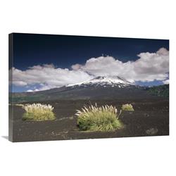 GCS-452899-2436-142 24 x 36 in. Pampas Grass Islands in Old Lava Flow, Llaima Volcano, Conguillio NP, Chile Art Print - Gerry Ellis -  Global Gallery