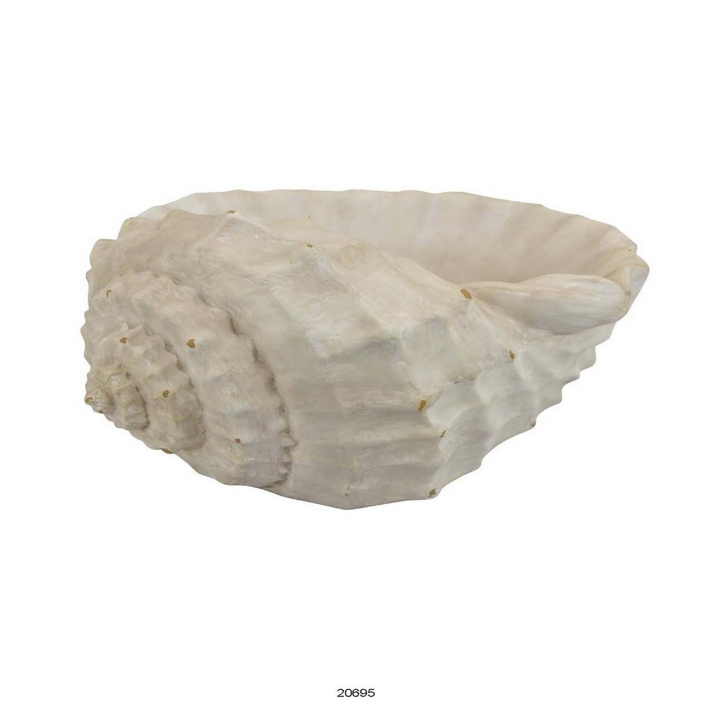 Picture of Benjara BM312553 19 in. Conch Shell Decor&#44; Authentic Coastal Style&#44; Off White White Resin
