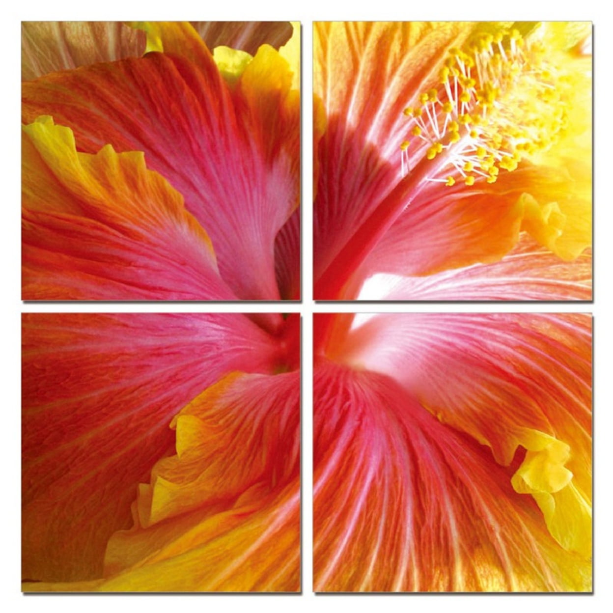 Picture of Benjara BM273082 24 in. Modern 4 Panel Photo Canvas Wall Art with Hibiscus Flower&#44; Red & Yellow