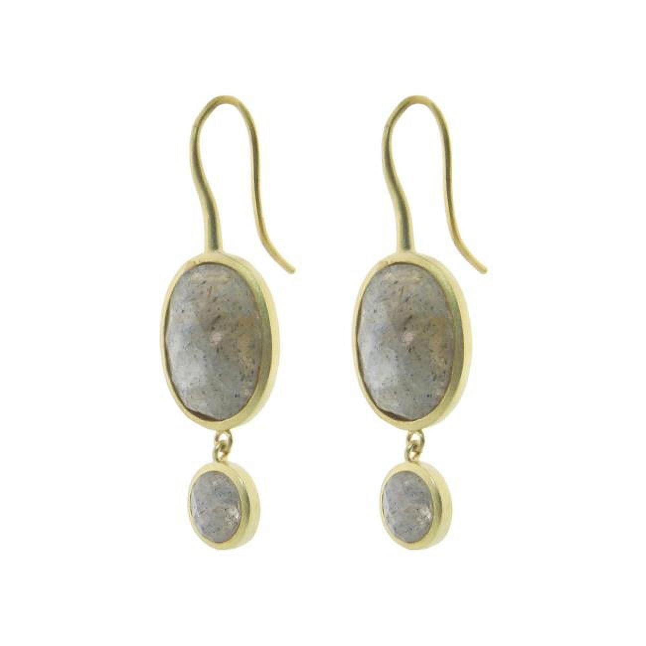 Picture of Fronay 215280 Labradorite Stone Drop Earrings in Gold Plated Silver