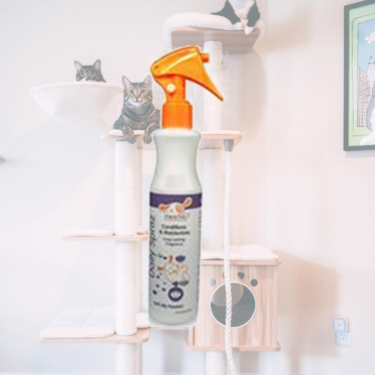 Picture of NOOTIE LLC; DS0818SLP Daily Spritz Long Lasting Fragrance For Pets