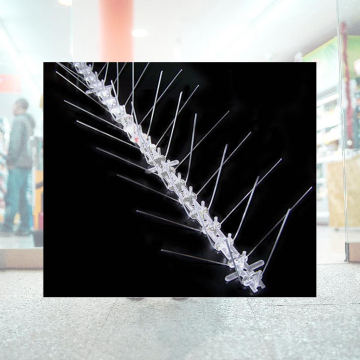 Picture of Bird-X SLS50 - Bird Spikes - Stainless Steel - 50 Feet - Narrow