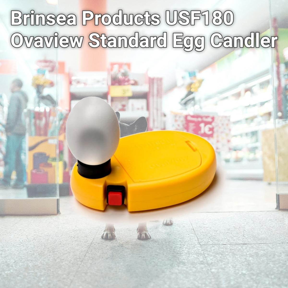 Picture of Brinsea Products USF180 Ovaview Standard Egg Candler