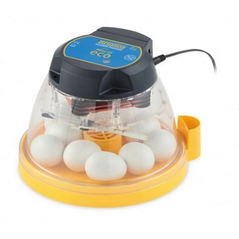Picture of Brinsea Products USAB15C Mini II Eco Manual 10 Egg Incubator