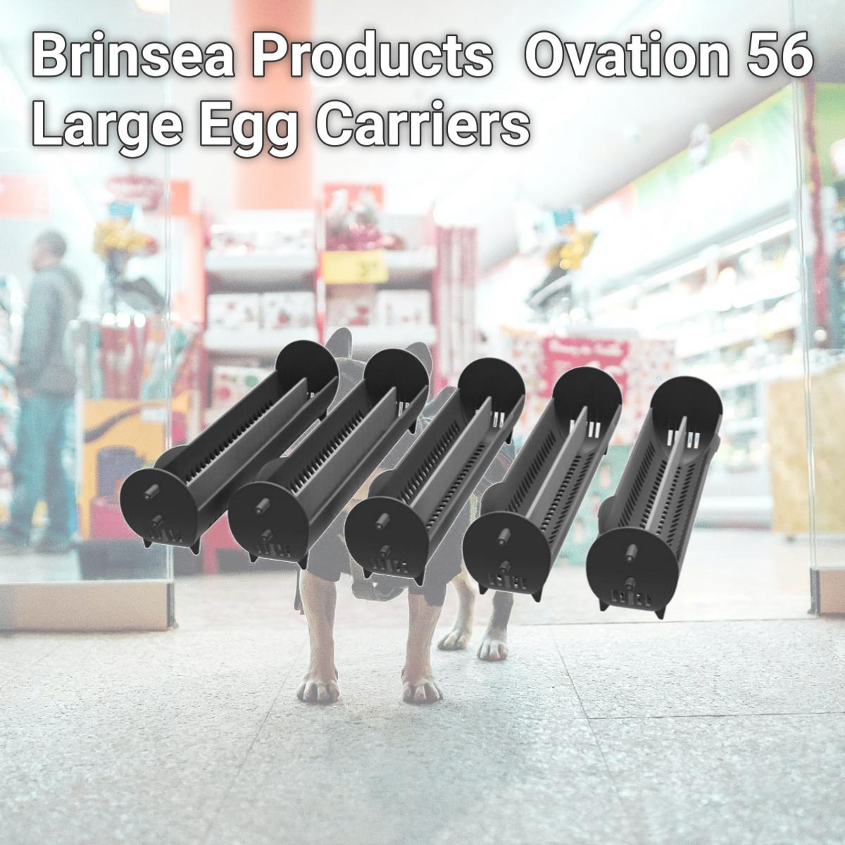 Picture of Brinsea Products USAG011 Ovation 56 Large Egg Carriers