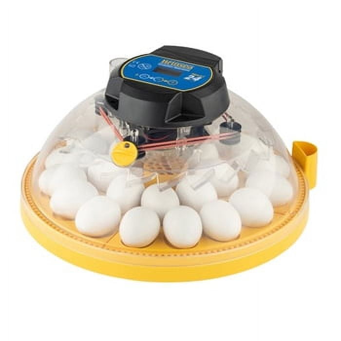 Picture of Brinsea USAC261C Maxi 24 Advance Automatic Egg Incubator