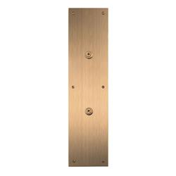 Picture of Brass Accents A02-P7400-609 4 x 16 in. Antimicrobial Push Plate - Antique Brass