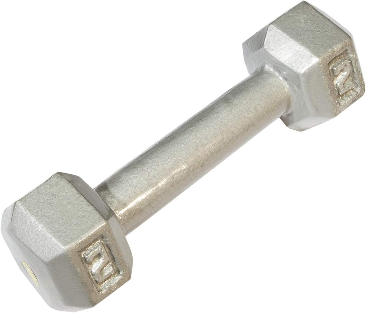Picture of Tools SDX3 3 lbs Cast Iron Hexagon Dumbbell&#44; Hand Weights for Men & Women - Silver