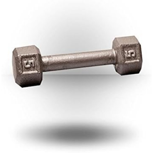 Picture of Tools SDX5 5 lbs Cast Iron Hexagon Dumbbell&#44; Hand Weights for Men & Women - Silver