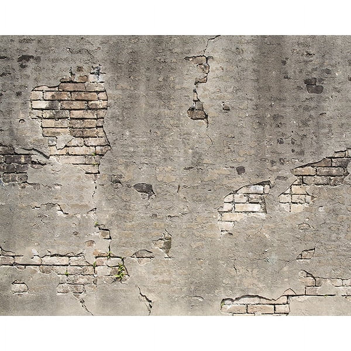 Picture of Wall Rogues WR50520 Broken Concrete Wall Mural