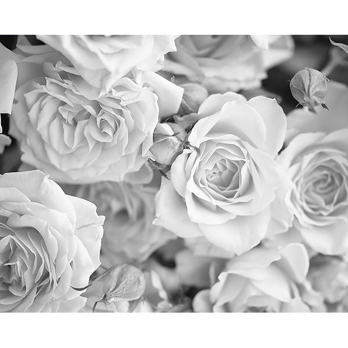 Grey Petals Wall Mural
