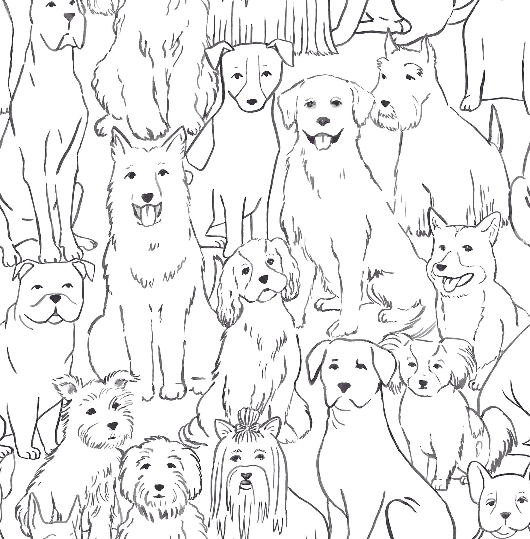 Black & White Paws On Peel & Stick Wallpaper