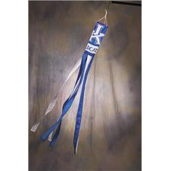 Picture of BSI Products 89410 Kentucky Wildcats Wind Sock