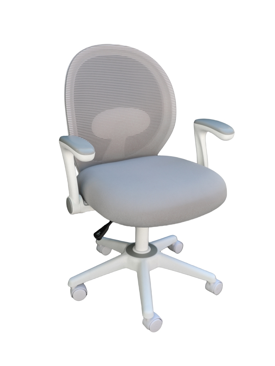 Picture of Boss B676WT-GY 34 x 23 x 24 in. Grey Mesh&#44; Flip Arm Task Chair with White Frame
