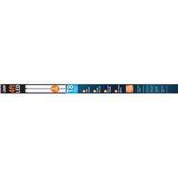 T848-840-LEDG2-2 48 in. 4100K LED Tube, Pack of 2
