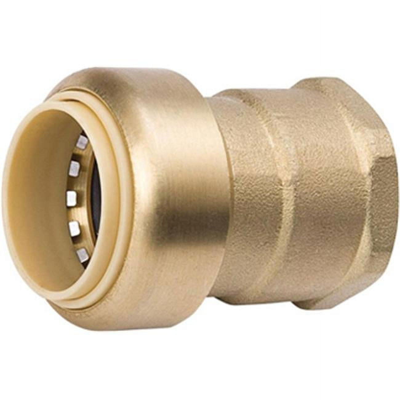 0.5 in. Brass Push Female Adapter