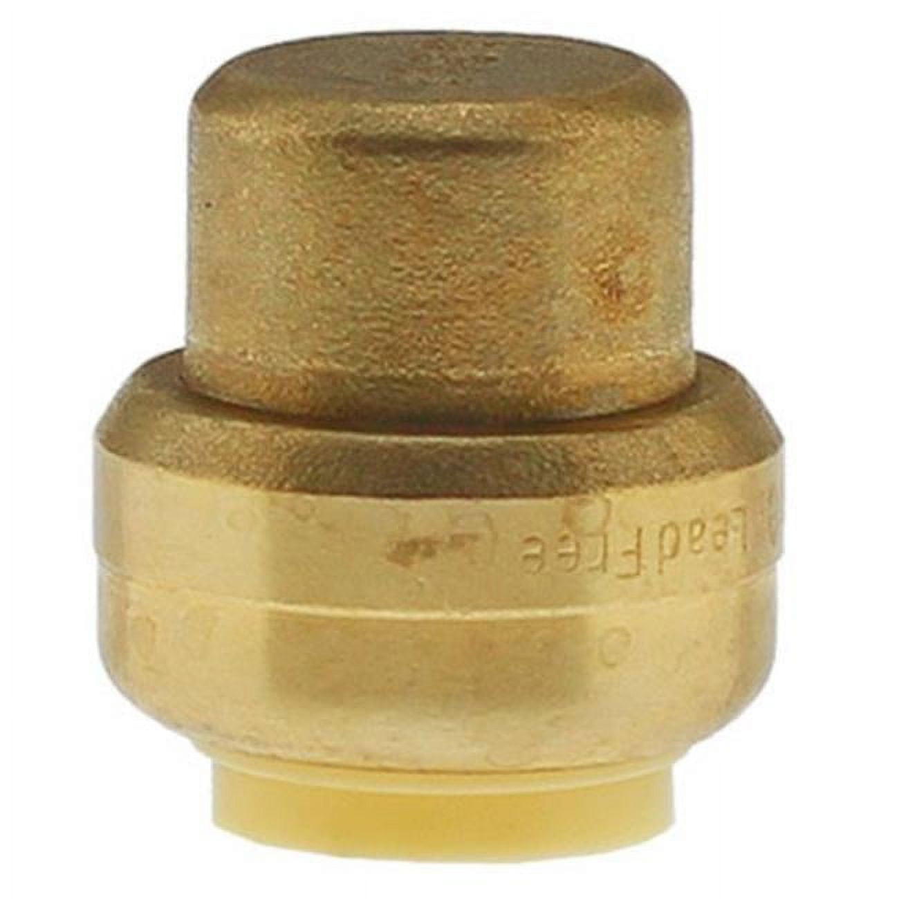 0.75 in. Push Fittings Cap