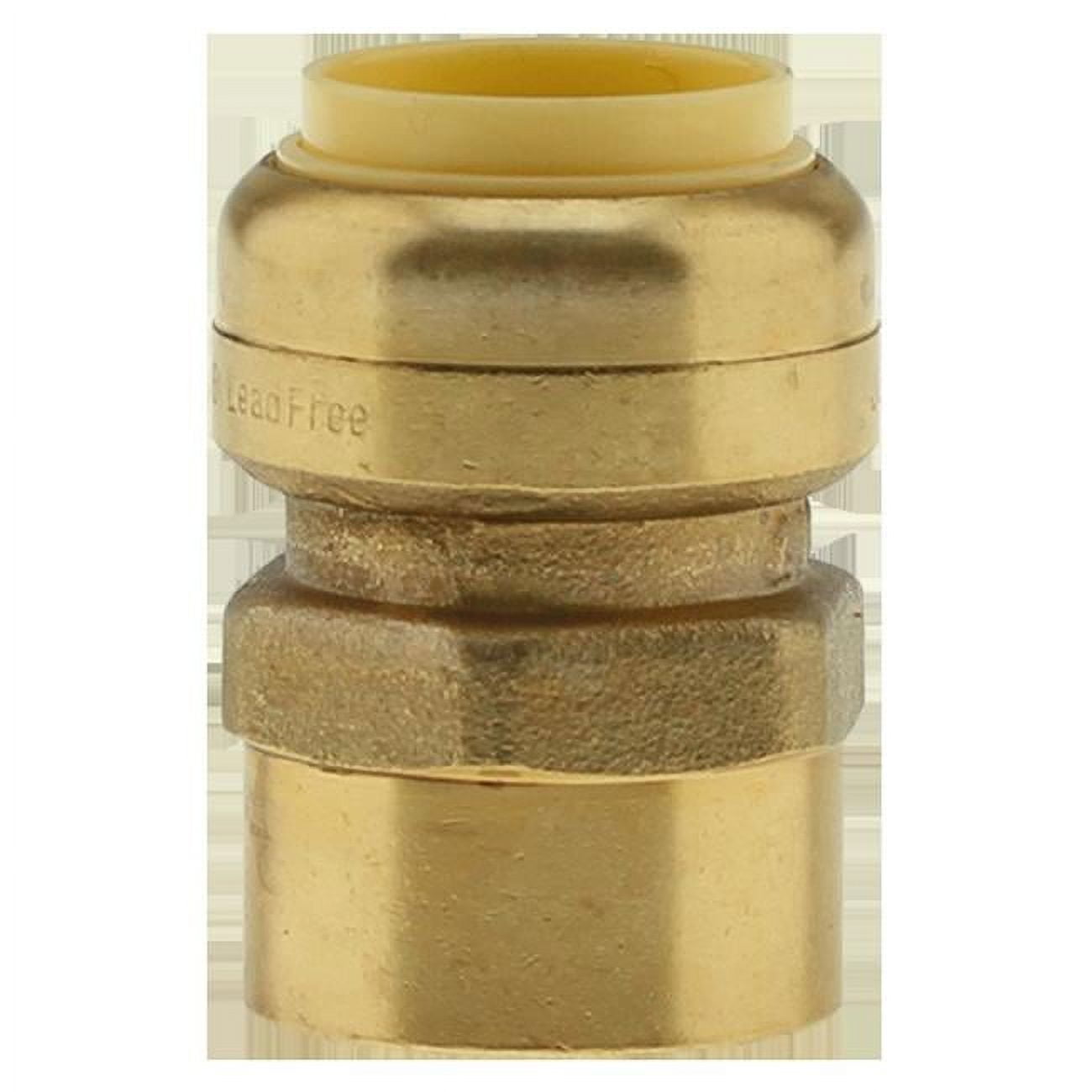 0.75 x 0.75 in. Push Fit Adapter