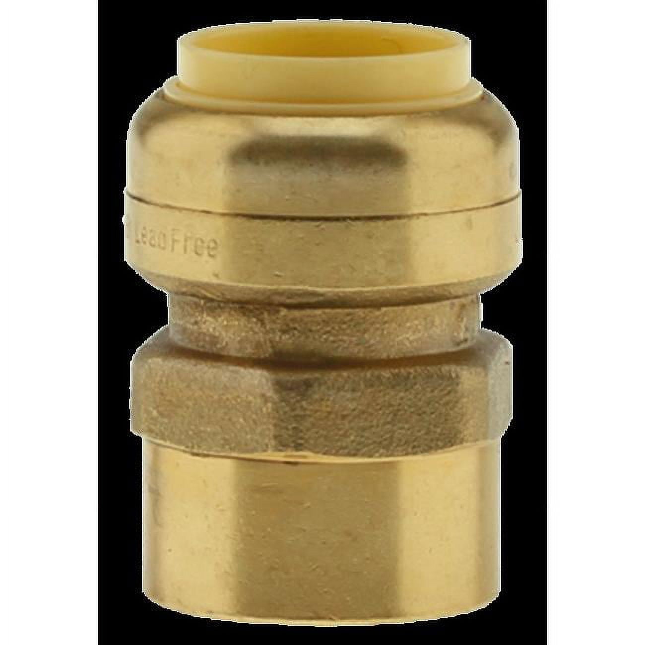 1 x 1 in. CTS x FPT Push Fit Adapter