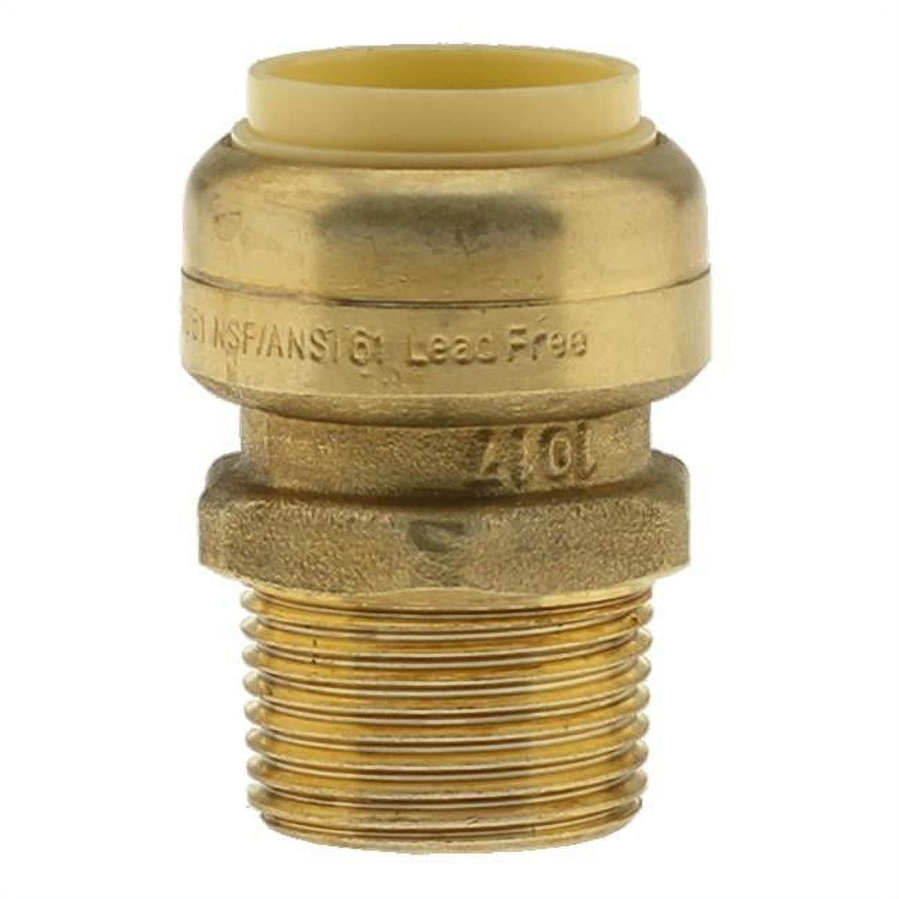 0.5 x 0.5 in. MPT Push Fit Adapter