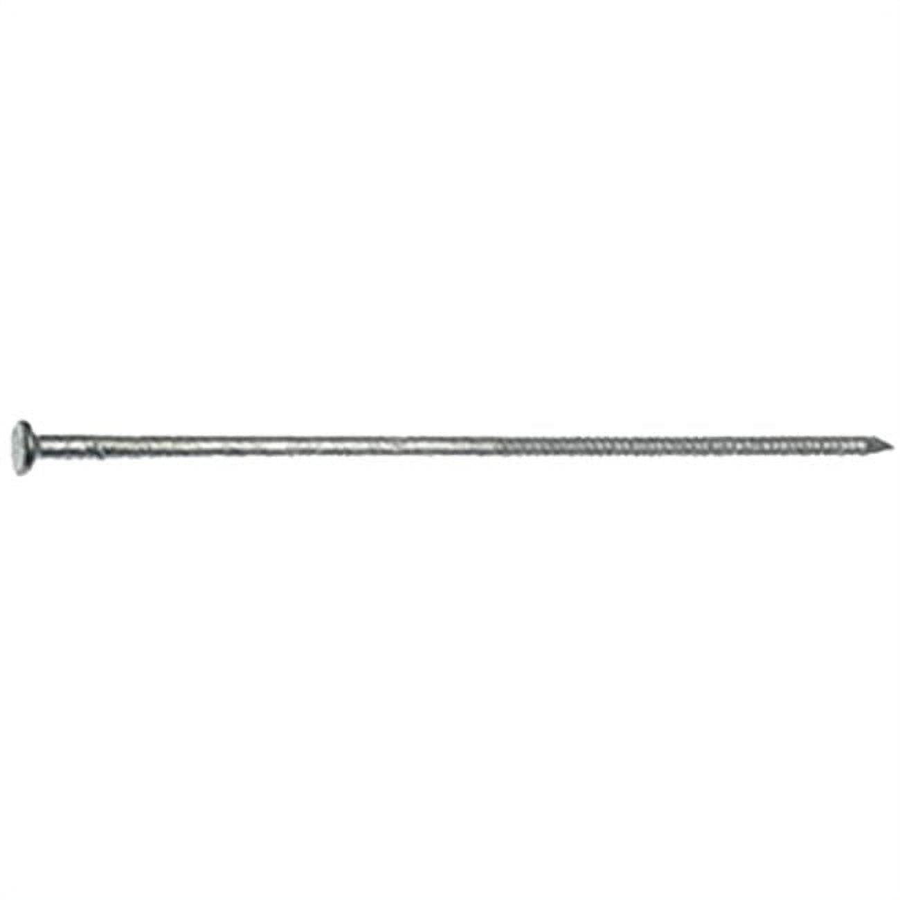 No. 50 60D Hot Galvanized Tempered Pole Barn Nail