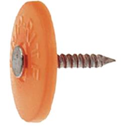 No. 11 2-1/2 in. Cap Bright Plastic/Steel Nail Full Round Head 1 lb