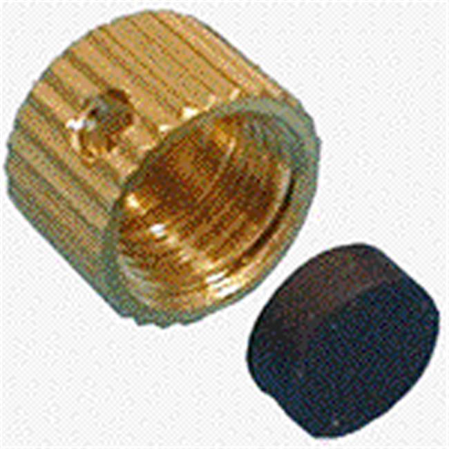 0.31 in. Replacement Drain Cap